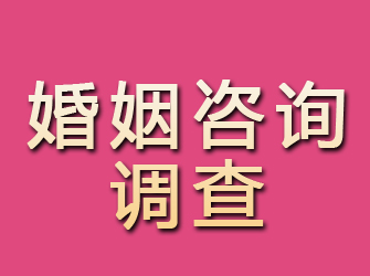 正安婚姻咨询调查