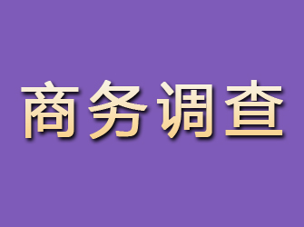 正安商务调查